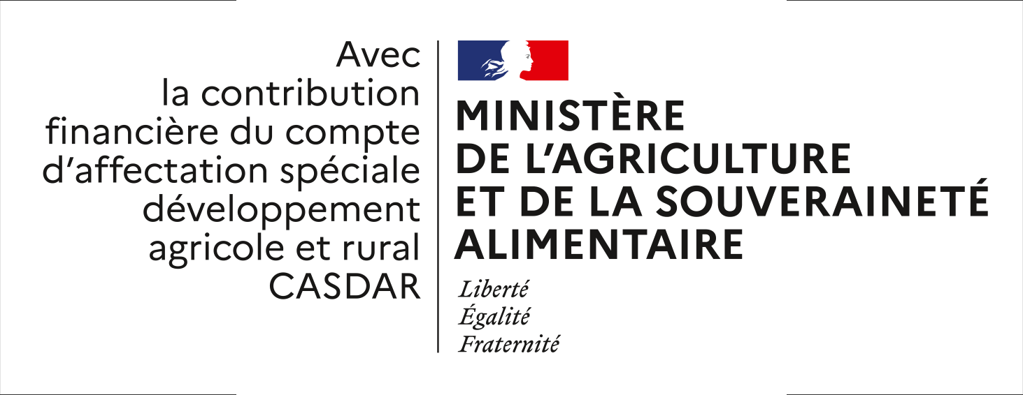 MASA CASDAR